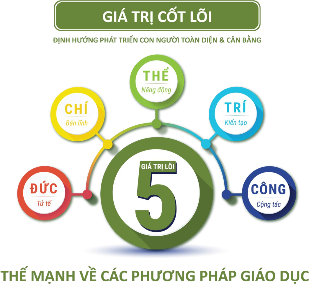 Những giá trị cốt lõi mà Team Coach mang đến